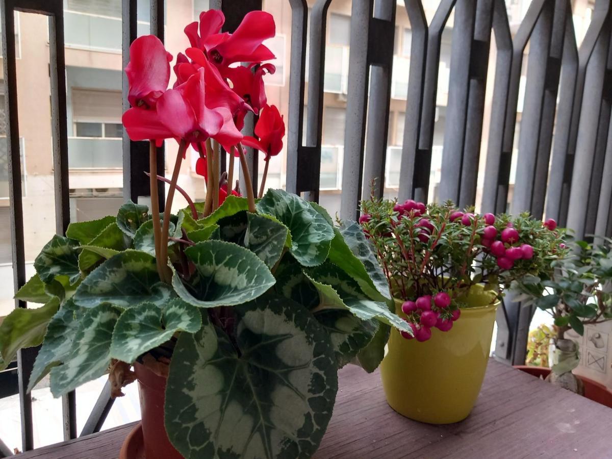 La Valigia Sul Letto Frühstückspension Catania